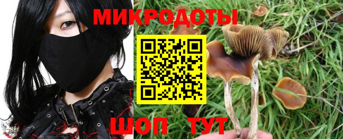 Галлюциногенные грибы Psilocybine cubensis  Галлюциногенные грибы GOLDEN TEACHER  Вход с VPN  Петровск 